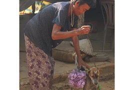 Cụ bà 80 tuổi luyện chó đi giao hàng ở Tây Ninh