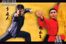 Gặp sao võ thuật là bạn Lý Liên Kiệt, thầy Chân Tử Đan