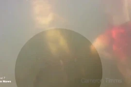 Cá sấu "khủng" tấn công một gia đình đang tắm