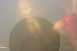 Cá sấu "khủng" tấn công một gia đình đang tắm