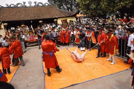 Tổ chức lễ hội chém lợn, mất danh hiệu làng văn hóa?