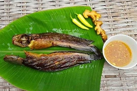 Cá rô, tép đồng miền Tây bay cả nghìn cây số ra Hà Nội