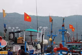 Tàu cá Việt bị tàu lạ đâm chìm trên biển Hoàng Sa