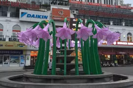 Dân mạng “ném đá” ác liệt đài hoa ở bờ hồ Hoàn Kiếm