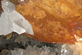 Vi khuẩn sống qua 50.000 năm tại hang động ở Mexico