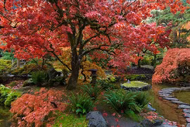 Mê mẩn những khu vườn đẹp như truyện thần tiên trên thế giới