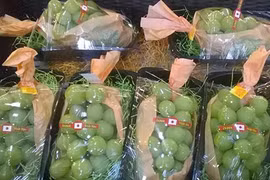 Sôi động săn lùng quà biếu Tết độc, lạ