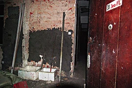 Nhồi tử thi trong tủ lạnh hòng che dấu vụ giết người