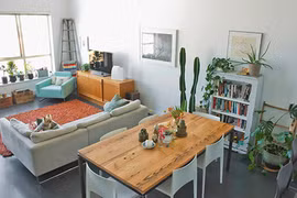 Phong thủy cây cảnh, sai một bước “tán gia bại sản” như chơi