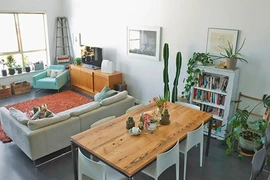 Phong thủy cây cảnh, sai một bước “tán gia bại sản” như chơi