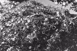 Đức: Dùng kính 3D thực tế ảo bắt tội phạm thời phát xít