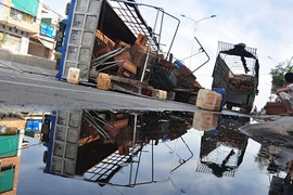 Xe tải lật, hàng trăm nghìn con ong bay loạn trên quốc lộ