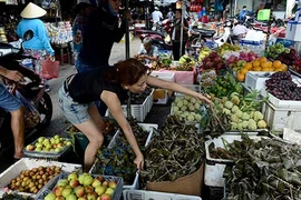 Chùm ảnh: Người Sài Gòn mua lá cây diệt sâu bọ Tết Đoan Ngọ