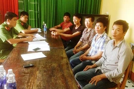 Vụ phá rừng pơ mu ở Quảng Nam: Thêm 5 đối tượng ra đầu thú