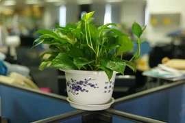 Đặt vật này trên bàn, sự nghiệp sẽ vù vù thăng tiến 