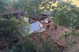 Bà mẹ TQ giết 4 con rồi tự sát vì quá nghèo