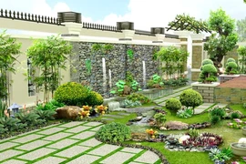 Cách trồng cây cảnh trong nhà mang tài lộc dồi dào cho gia chủ