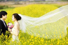 Chết mê với vườn hoa cải ven sông Tào ở xứ Thanh