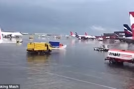 Nhà vệ sinh “truy sát” người trên phố ở thủ đô 