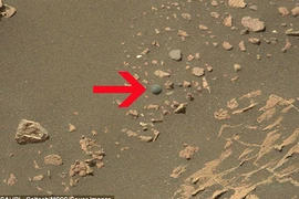 Phát hiện viên bi ve trên sao Hỏa?