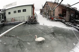 Sống sót thần kỳ dưới giếng sâu trong nhiệt độ -20 độ C