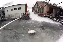 Sống sót thần kỳ dưới giếng sâu trong nhiệt độ -20 độ C