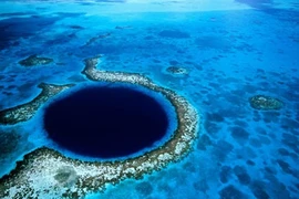 Bất ngờ: Có sự sống ở nơi sâu nhất thế giới