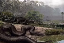 Không thể tưởng tượng những quái vật cổ đại to khủng khiếp