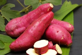 Vì sao ăn khoai buổi sáng tốt hơn 10 năm uống thuốc bổ? 