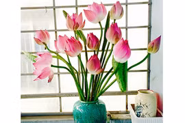 Phong thủy: Vì sao nên chưng những loại hoa này trong nhà? 