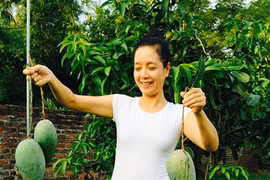 Nhà vườn bạt ngàn cây ăn quả của gia đình Chiều Xuân