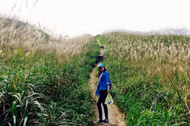 Ảnh: Đồi cỏ lau trắng lãng mạn trên “sống lưng khủng long“