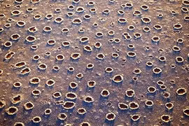 Bí ẩn những bức ảnh gây sốc trăm năm không lời giải 