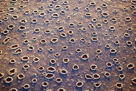 Bí ẩn những bức ảnh gây sốc trăm năm không lời giải 