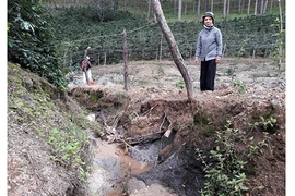 Dân kêu cứu vì cống thoát nước gây thiệt hại vườn cà phê