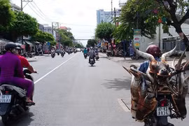 Rộ bán đầu linh dương để “trừ tà” 