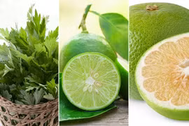 3 bài thuốc trị dứt điểm gai cột sống cực hiệu quả 