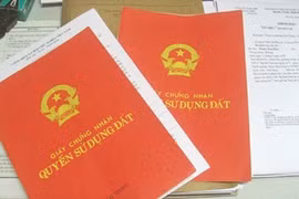 Mẹ con giám đốc bị truy tố vì lừa đảo bán nhà