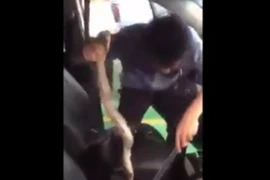 Rùng mình cảnh thanh niên tay không bắt rắn hổ mang trong ôtô