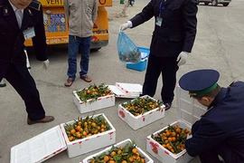 Mỗi ngày, người Việt chi 44 tỷ để ăn trái cây TQ, Thái Lan