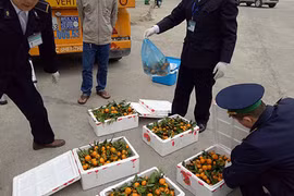 Mỗi ngày, người Việt chi 44 tỷ để ăn trái cây TQ, Thái Lan