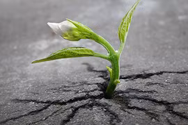 Những bức ảnh giúp bạn không bao giờ cảm thấy tuyệt vọng