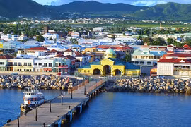 Đại gia và chuyện móc hầu bao để sở hữu hai quốc tịch