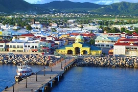 Đại gia và chuyện móc hầu bao để sở hữu hai quốc tịch