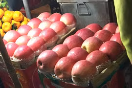 Nhận diện các loại rau củ, hoa quả Tàu nhập về Việt Nam