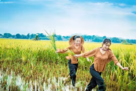 Thôn nữ khoe vẻ đẹp tinh khôi trên cánh đồng Thanh Chương