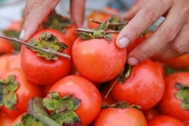 Đội lốt Đà Lạt, hồng Trung Quốc đại náo chợ Việt 