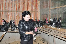 Thăm trang trại của nữ tỷ phú nuôi chim, gà quý hiếm