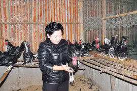 Thăm trang trại của nữ tỷ phú nuôi chim, gà quý hiếm