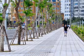 Lát đá vỉa hè Hà Nội: Đề xuất dùng đồ giả